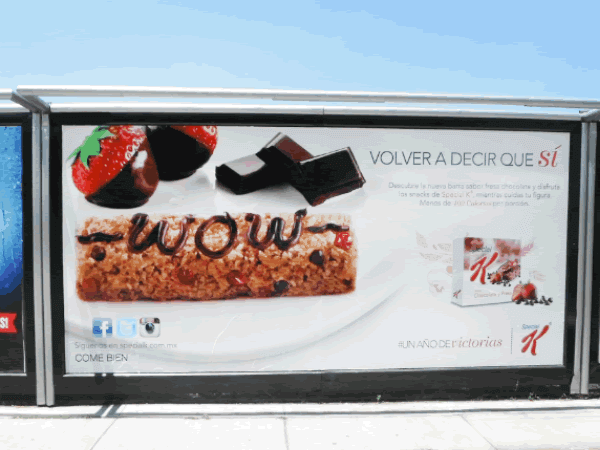 Apa Publicidad en Calles Jalisco es Moda